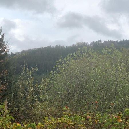 Fewo Berg Idyllika Вилинген Екстериор снимка