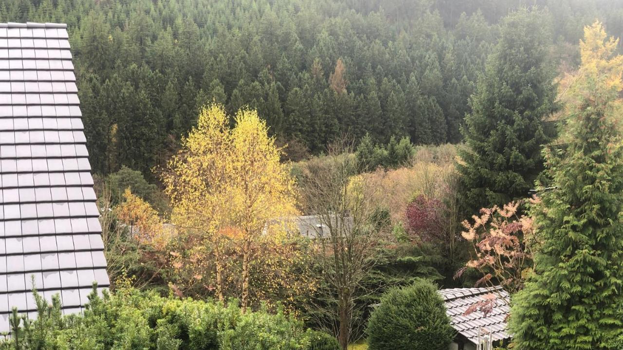 Fewo Berg Idyllika Вилинген Екстериор снимка