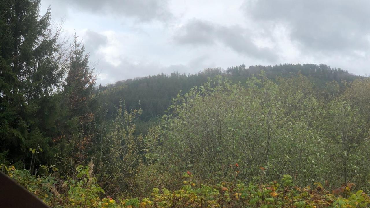 Fewo Berg Idyllika Вилинген Екстериор снимка