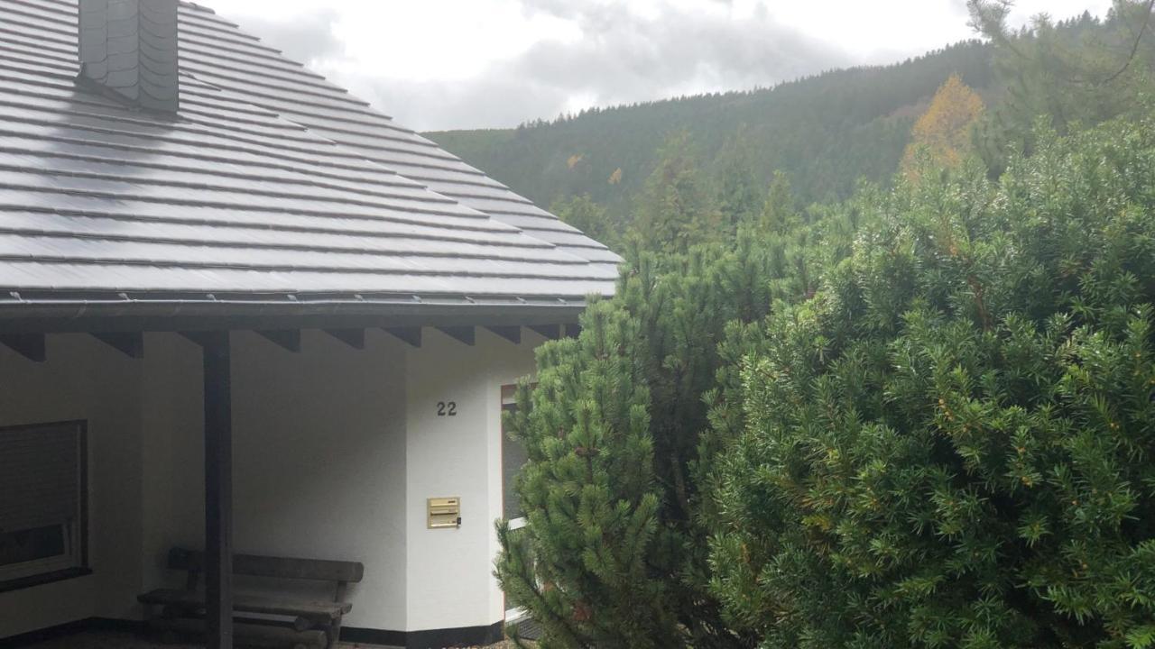 Fewo Berg Idyllika Вилинген Екстериор снимка
